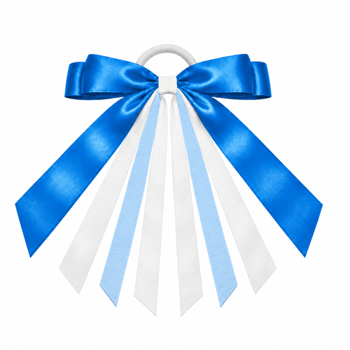 Argen blank ribbon