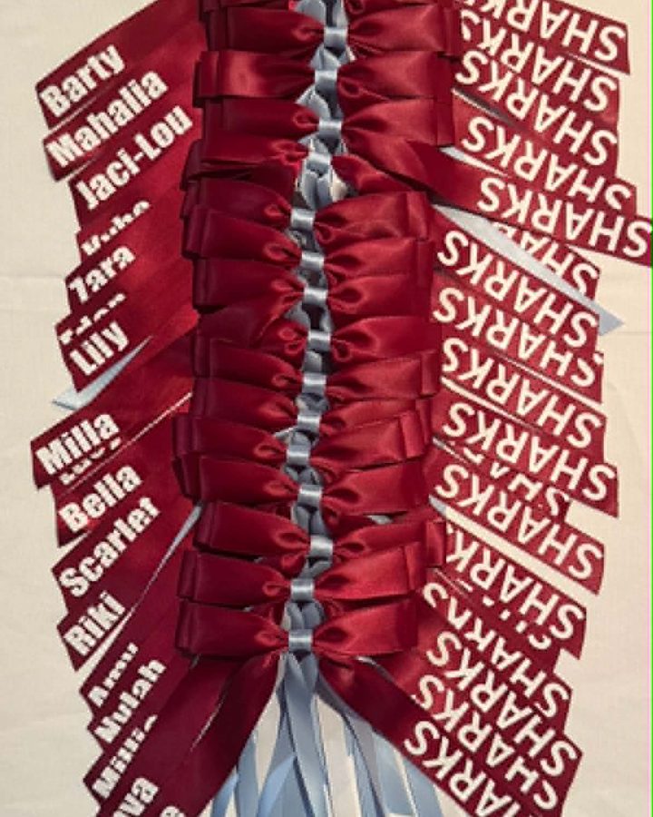 Maroon and pale blue Sharks ribbons, each with a player name